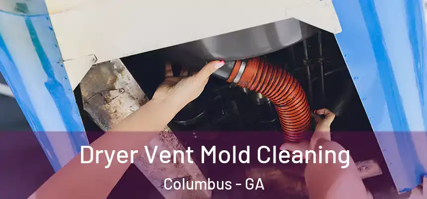 Dryer Vent Mold Cleaning Columbus - GA