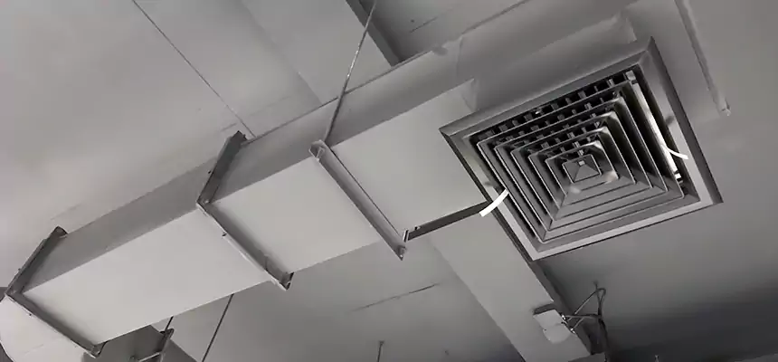 Our Pest Removal From Ducts Services in Columbus, GA