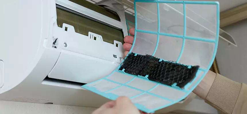 Gentle Ductwork Odor-Control Pet Dander Duct Cleaning in Columbus, GA