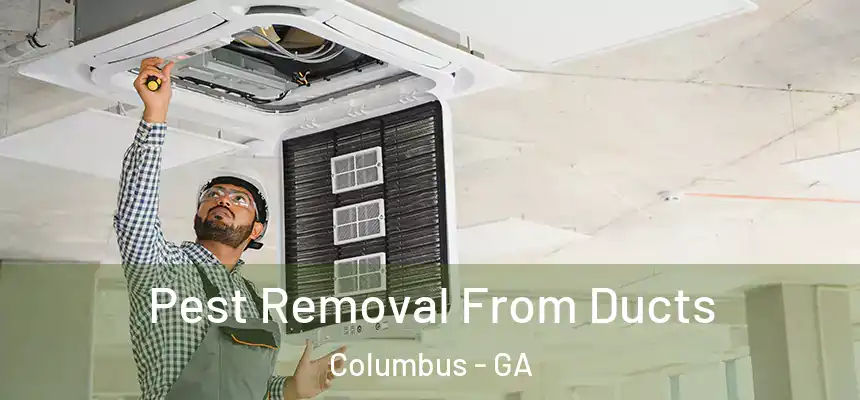 Pest Removal From Ducts Columbus - GA