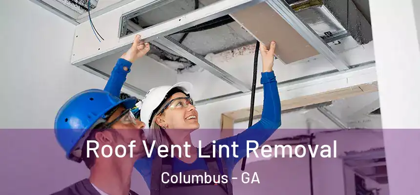Roof Vent Lint Removal Columbus - GA