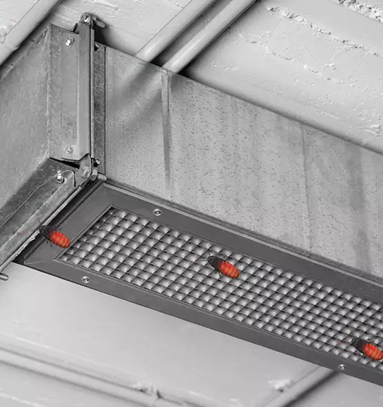 About Air Duct Cockroach Removal in Columbus, GA