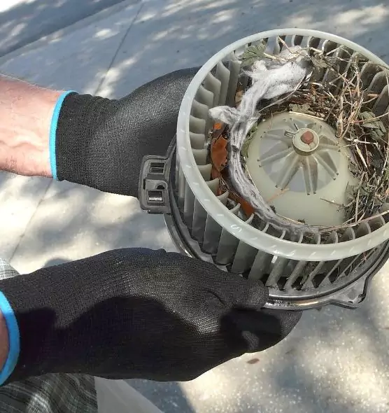 About Air Duct Rat Removal in Columbus, GA