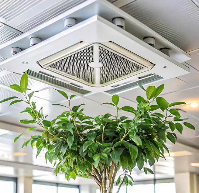 Why Homeowners & Businesses Trust Us in Columbus, GA