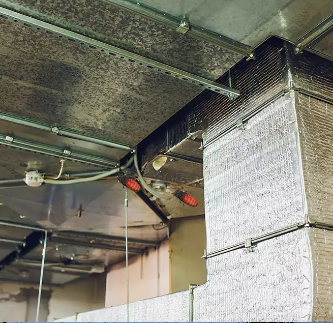 Why Homeowners & Businesses Trust Us Columbus, GA?